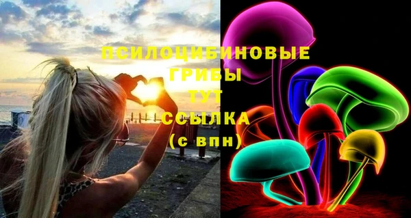 ешки Алзамай
