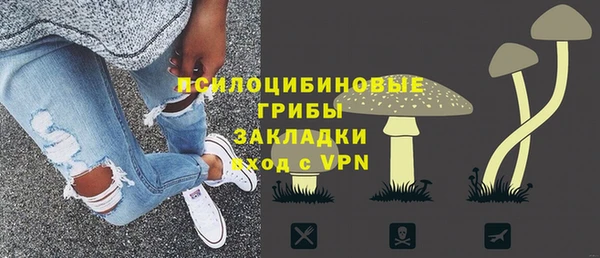 ешки Алзамай