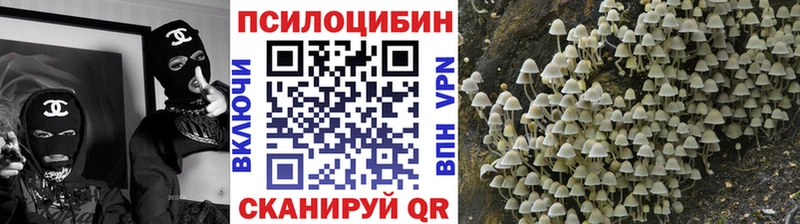 Галлюциногенные грибы GOLDEN TEACHER hydra ТОР Андреаполь как найти закладки